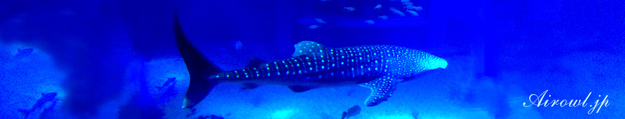 Airowl.jp